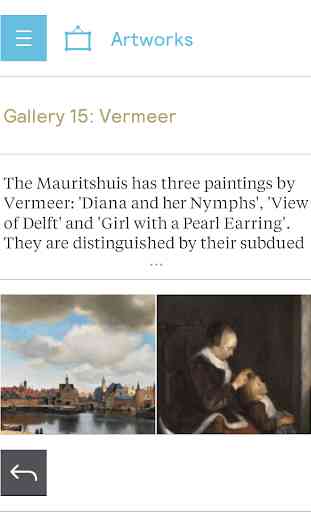 Mauritshuis 3