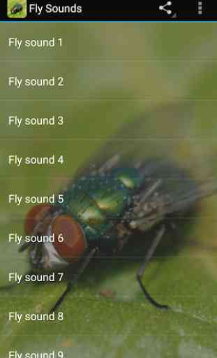 Fly Sounds Prank 3