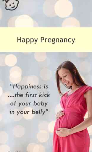 Pregnancy Week By Week Guide 1