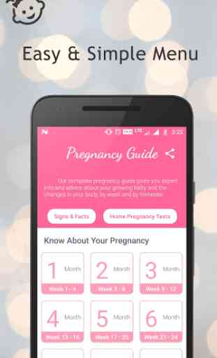 Pregnancy Week By Week Guide 2