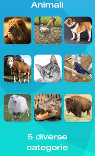 Animali e attrezzi: Flashcard per bambini 4
