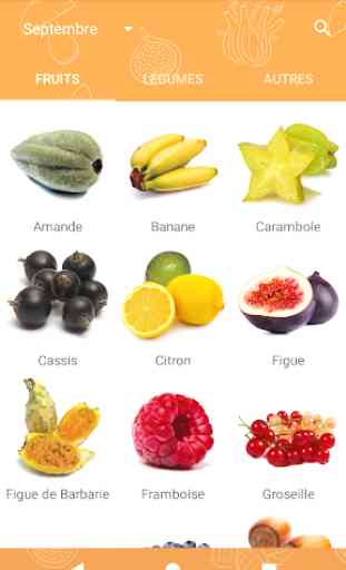 Fruits et légumes de saison 2