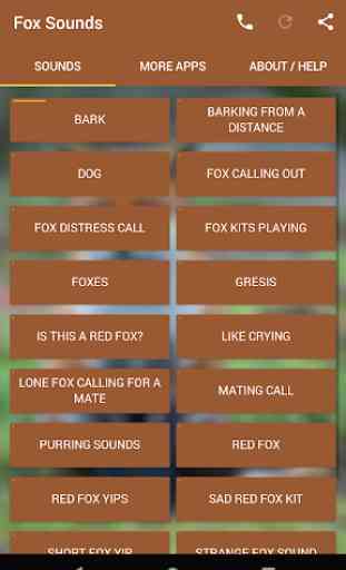 Fox Sounds 1
