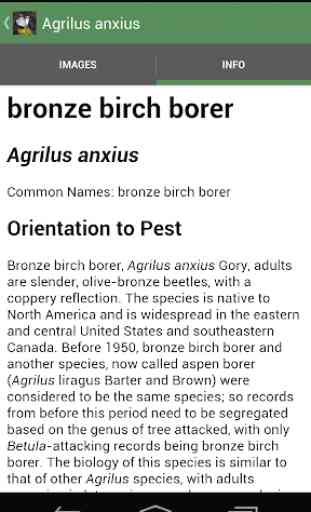 Forest Insect Pests 4