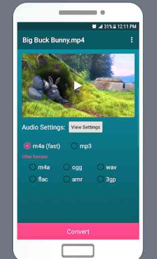 LiteC - Video to MP3 Audio Converter Sound Extract 2