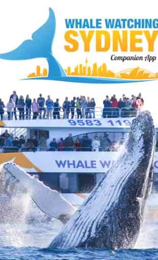 Whale App 4