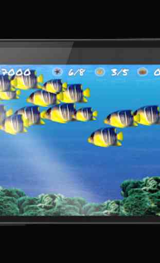 Wonder Fish Giochi Gratuiti HD 1