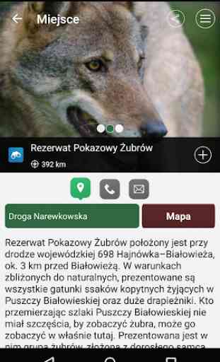 Białowieski Park Narodowy 3