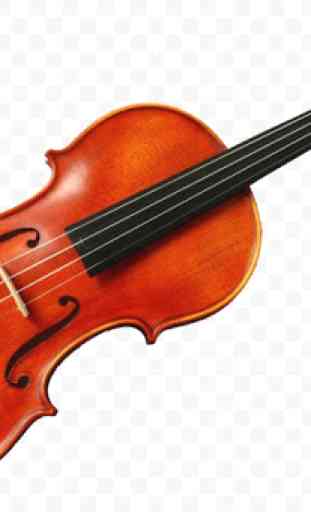 violino 2