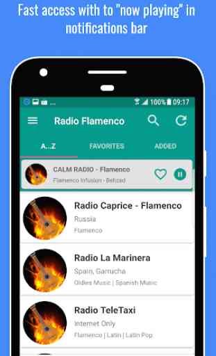 Flamenco Music Radio  4