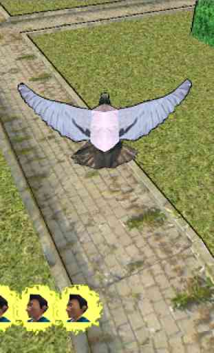 Pigeon attack - bird bomber 3