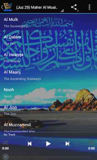 Quran Offline:Maher Al Muaiqly 4