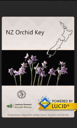 NZ Orchid Key 1