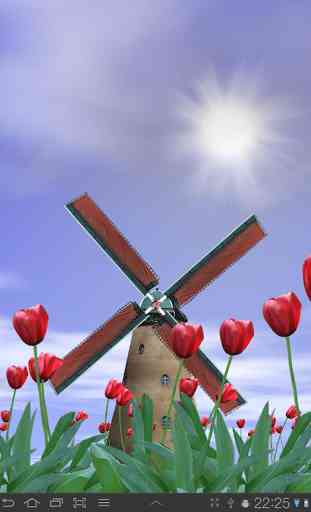 Tulip Windmill Free 1