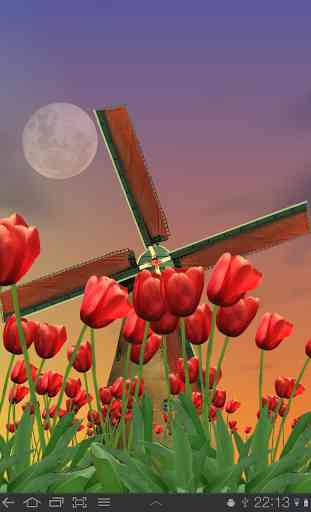 Tulip Windmill Free 2