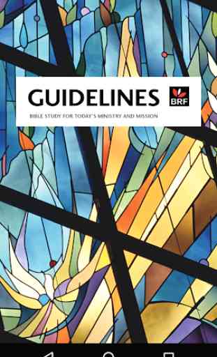 Guidelines: Bible Study 4