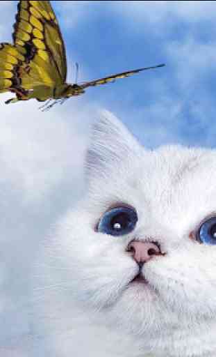 Cats HD Wallpapers 4