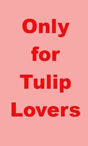 TulipsBG: Free Tulip Wallpaper 2