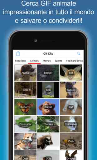 Gif Clip - Cerca, Condividi e Salvare Animati Gifs 1