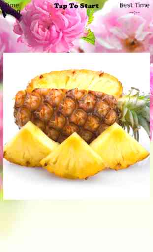 Pineapple Puzzle 1