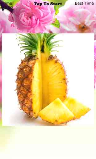 Pineapple Puzzle 3