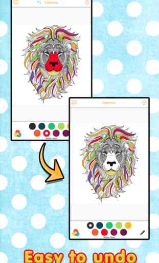 Colorway - adulti Zen Mandala Disegni da colorare 2