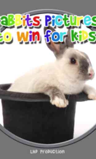 immagini di conigli per vincere - gioco gratuito 1