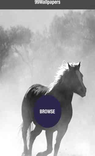 99 Wallpaper.s - Bellissimi Sfondi, Sfondi e Immagini di Cavalli, Pony e Animali Domestici 1