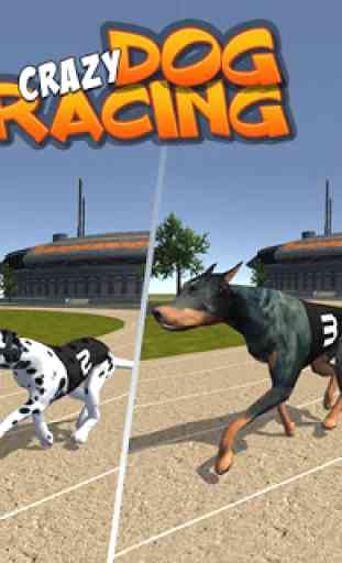Crazy Dog Racing 1