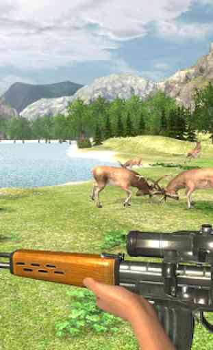 Real Jungle Animals Hunting- Miglior gioco di tiro 2