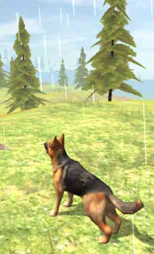 Wild Dog Survival Simulator 4