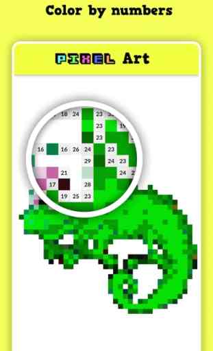 Pixel Art - Colora con i numer 2