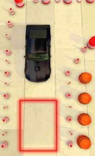 test di guida al parcheggio 2