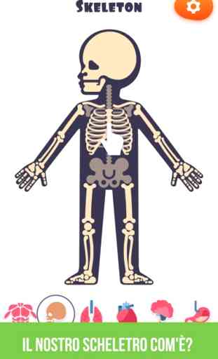 Anatomia Umana Per la Scuola 3