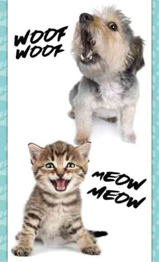 Cani e gatti suoni - Meows e cortecce 1