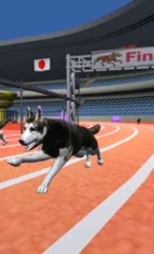 Dog Racing Fever 3D 1