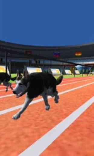 Dog Racing Fever 3D 4