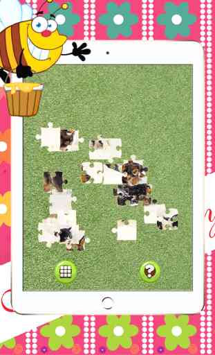 Jigsaw Puzzles : Cani e Gatti 3