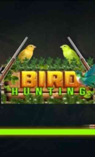 Jungle Birds Hunter Pro 2017 4
