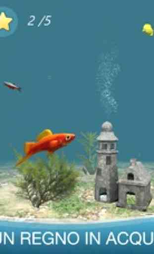 Fish Tank: Pesci D’Acquario 1