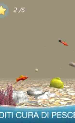 Fish Tank: Pesci D’Acquario 2
