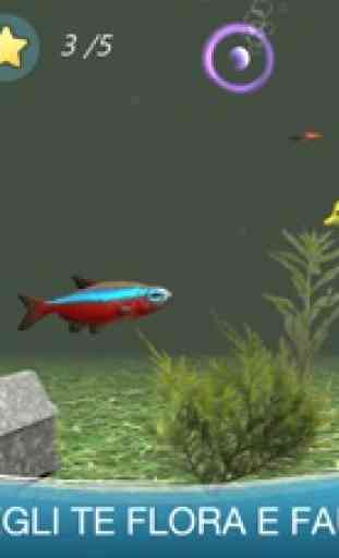 Fish Tank: Pesci D’Acquario 3