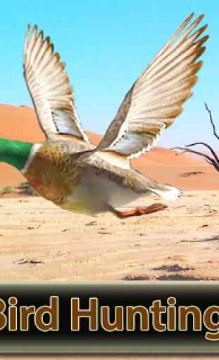 Desert Birds Sniper Shooter - Bird Hunting 2019 1
