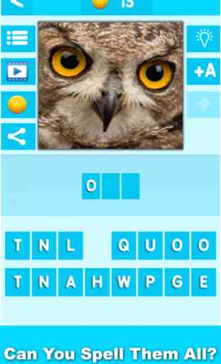 Animal Quiz Close Up : Guess the Word Trivia Games 2