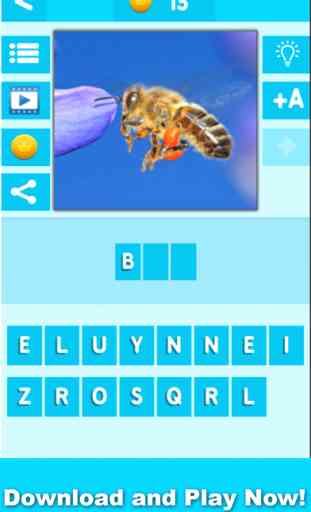 Animal Quiz Close Up : Guess the Word Trivia Games 4