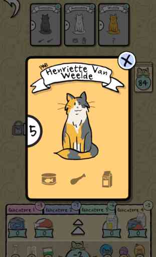 Cat Lady - Card Game 4