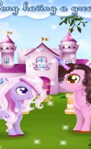 Pony Amore Divertimento - Salone Magic Grooming 2