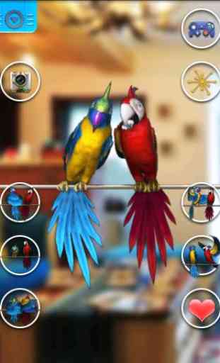 Talking Parrot Coppia gratuita 2
