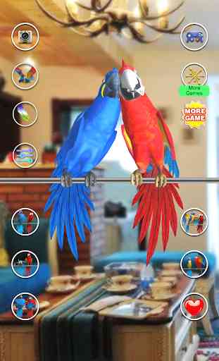 Talking Parrot Coppia gratuita 4
