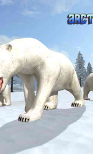 Arctic Polar Bear 2